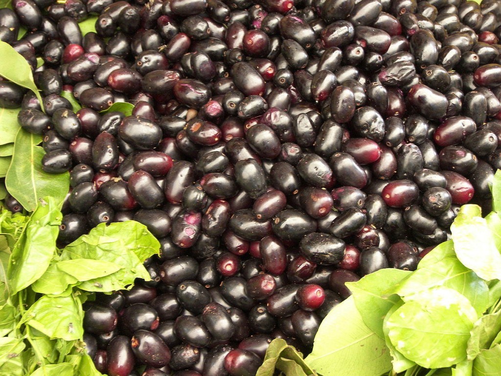 Jamun medicinal Uses