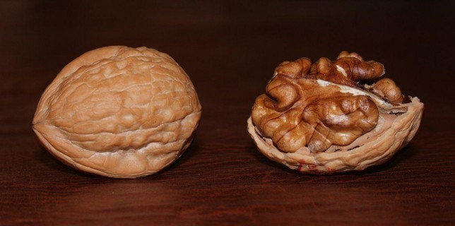 Walnut benefits