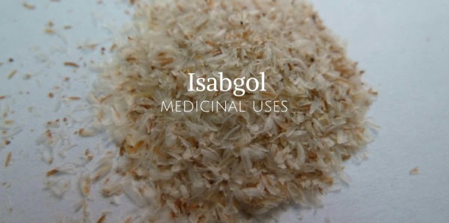 isabgol