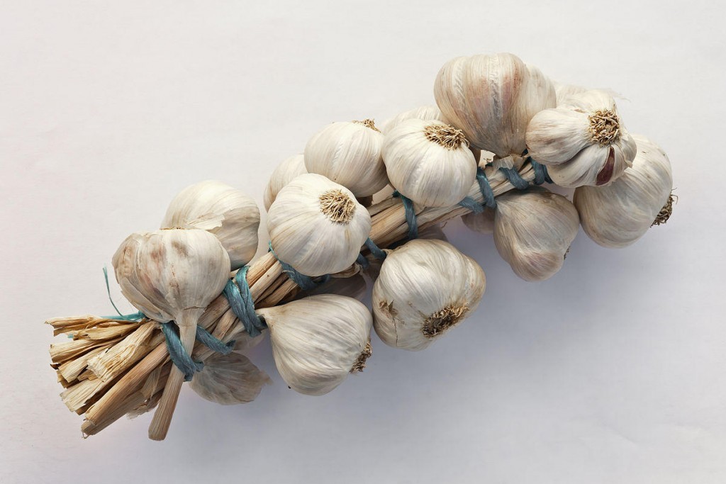 Garlic medicinal uses