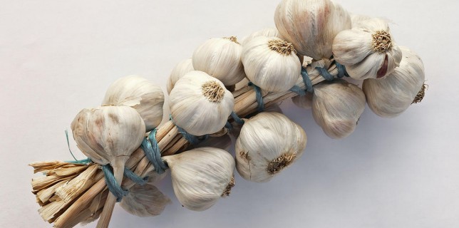 Garlic medicinal uses