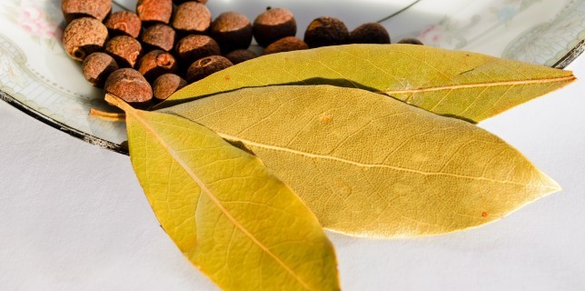 bay leaf medicinal uses