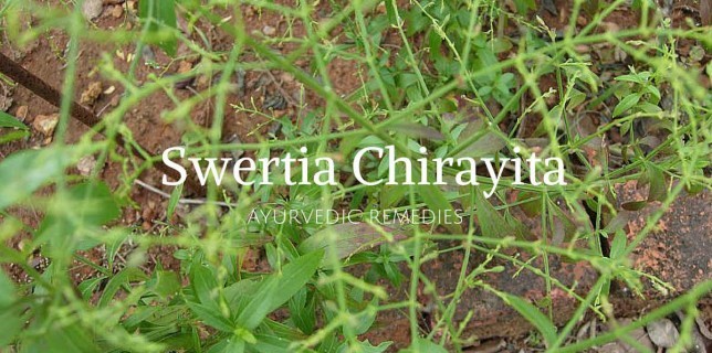 chirayata