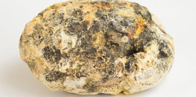 ambergris