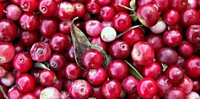 cranberry