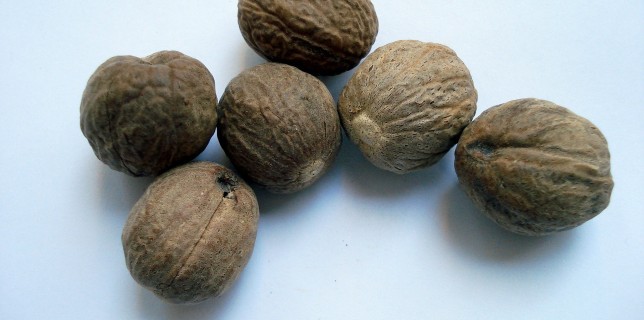 nutmeg benefits