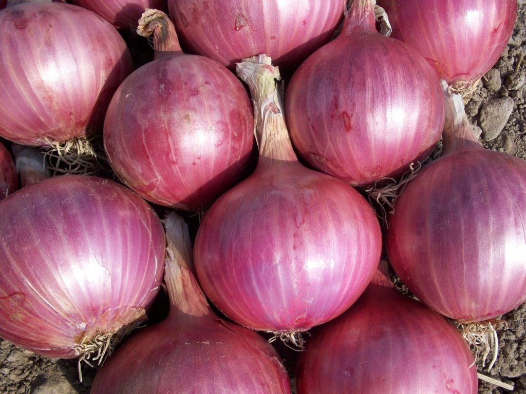 onion health benefits