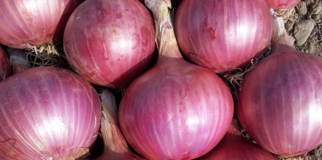 onion health benefits